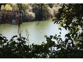 Property photo 38 - 419 +/- Acres offered in 6 Tracts, Land Auction